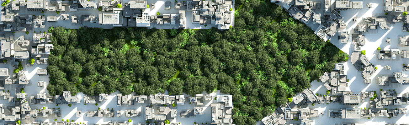 Vue aérienne d’un espace vert en forme de flèche pointant vers un quartier résidentiel