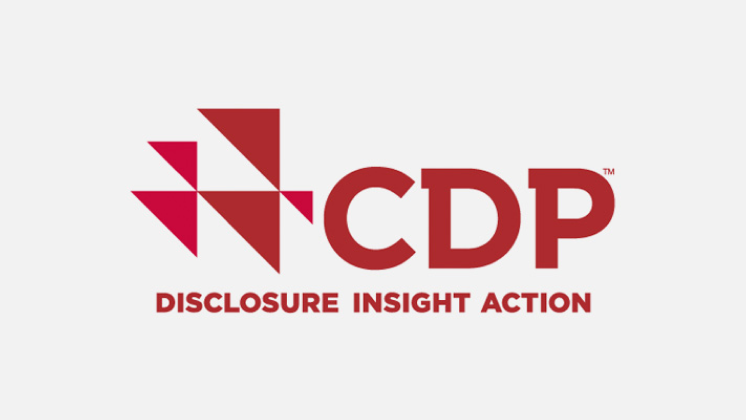 Logo Climate Change Index de CDP.